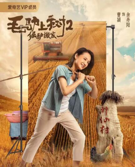 成人在线综合