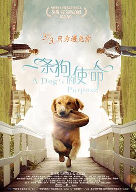 欧美大片国产在线永久播放