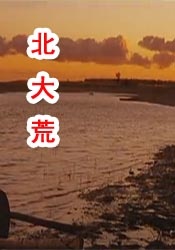 久久99精品久久久久久h