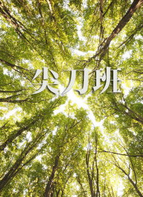 欧美日韩另类国产
