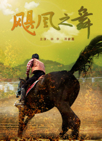 职业助手