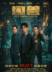 激情性插