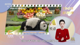 午夜免费的国产片在线观看