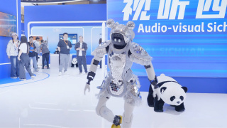 亚洲片在线观看